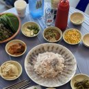 왔다회초장 이미지