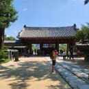 종묘 관람 후기｜유네스코 세계유산 정전과 종묘제례, 해설사와 함께한 깊이 있는 여행