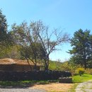 지은이네 민박 | 4. [계방산오토캠핑장] 저렴한 청정자연 강원도 평창 캠핑장 / 나무는 잘못이 없다.