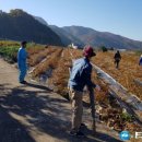 일월면사무소 이미지