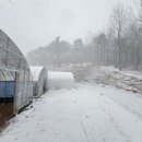 노다지농장 이미지