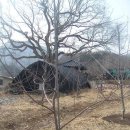 돌다리 농장 이미지