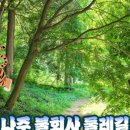 비;숲