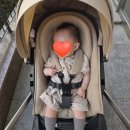 내돈내산:: 휴대용 유모차 '줄즈 에어2' 구매 후기