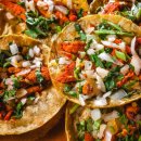 씨티렌터카 이미지