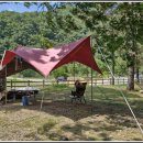 동호솔숲 이미지