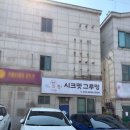 시크펫 그루밍 이미지