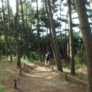 소원면사무소 이미지