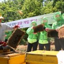 한병규 농장 네이버블로그