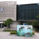 고기연구소 이미지