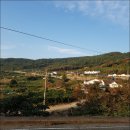 김상만농장 이미지