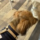 [성인][원데이클래스] 귀여운 모루 키링 만들기 이미지