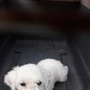 곡성읍 읍내7구 마을회관 이미지