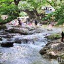 용오름농촌체험휴양마을 이미지