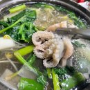 로그인편의점안양본점 | 123 | 안양 매해 제철 쭈꾸미 먹으러 가는 조개생각