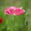 물금취수장 이미지