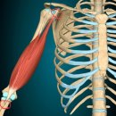 울트라 짐 이미지