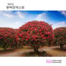 포레스트2 이미지