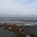 고창심원풍천장어 이미지