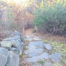 보령오천어린이집 | 걷기편한 임도길 보령 도미부인솔바람길 4.5km 후기