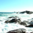 주문진횟집 이미지