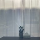 방배종합시장 | 방배역 미용실 선택 시 최신 트렌드 기반 개인 맞춤 디자인 확인 방법