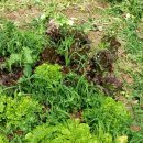 예본농장 이미지