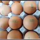 '살충제 계란' 구별법, "08로 시작되는 계란 우선 조심" 이미지