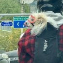제피로스플라워 | Diary : 10월 20일 - 10월 26일