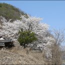 상현정(象賢亭) 이미지