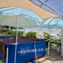 하늘빛 닭섬 이미지