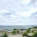 중부-현장-중부-2100 | 오키나와 츄라우미 수족관 완벽 가이드 : 입장료 일일 버스 투어 추천!