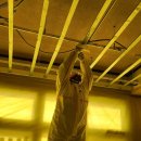 지안어린이집 이미지