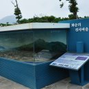 화순금모래해변 Daum카페
