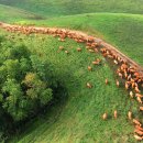 속동목장 이미지