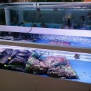 군산 은모래해물탕.아구찜 이미지