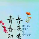 소꼽