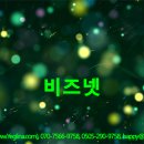 메트로넷
