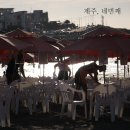 이호그린 이미지