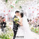 포레스트원 티스토리
