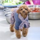 펫의류&펫소품 만들기 | 2025 올해 마지막 펫박람회 크리스마스 서울펫쇼 첫날 다녀온 후기