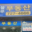 롯데캐슬블루공인중개사사무소 네이버블로그