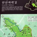 7월2일 서대문 안산 둘레길 [남진] 이미지