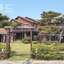 2026년 5월 장봉도로 섬여행 떠납니다 이미지