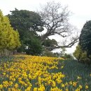 공곶이 언덕 이미지