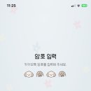 유료퍼피