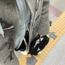 뜨개모임 | 부산 모임장소 추천(인데 뜨개모임 후기)