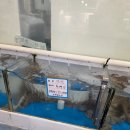 전주 완주 회포장 맛집 메뉴 가격 정보 갑오징어 도다리 멍게 낙지 꽃게 포장 후기 /깻잎수산