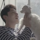 핸드스토리