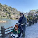 올레민박 이미지